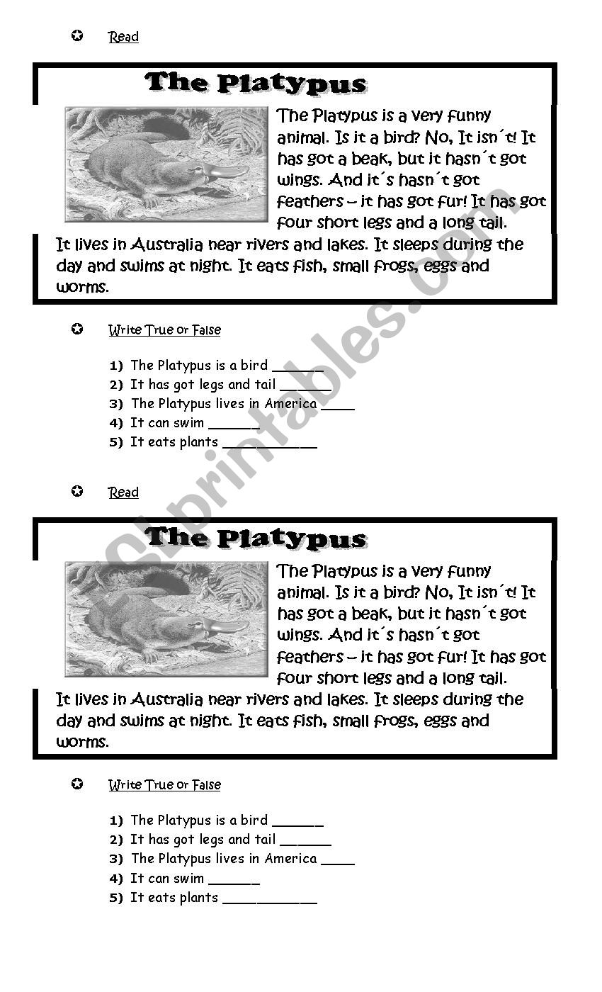 Readig Comprehension worksheet