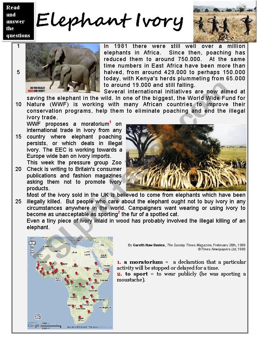 Elephant Ivory  Reading comprehension + KEY