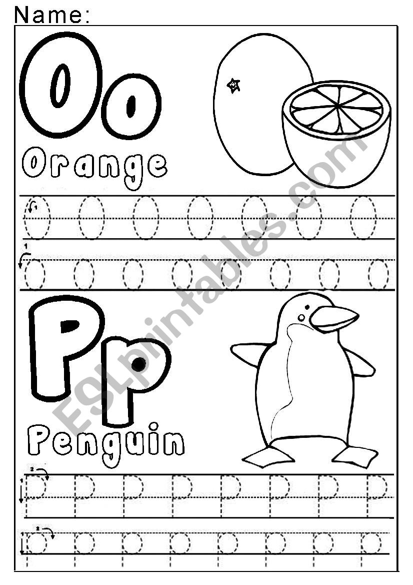 O and P worksheet