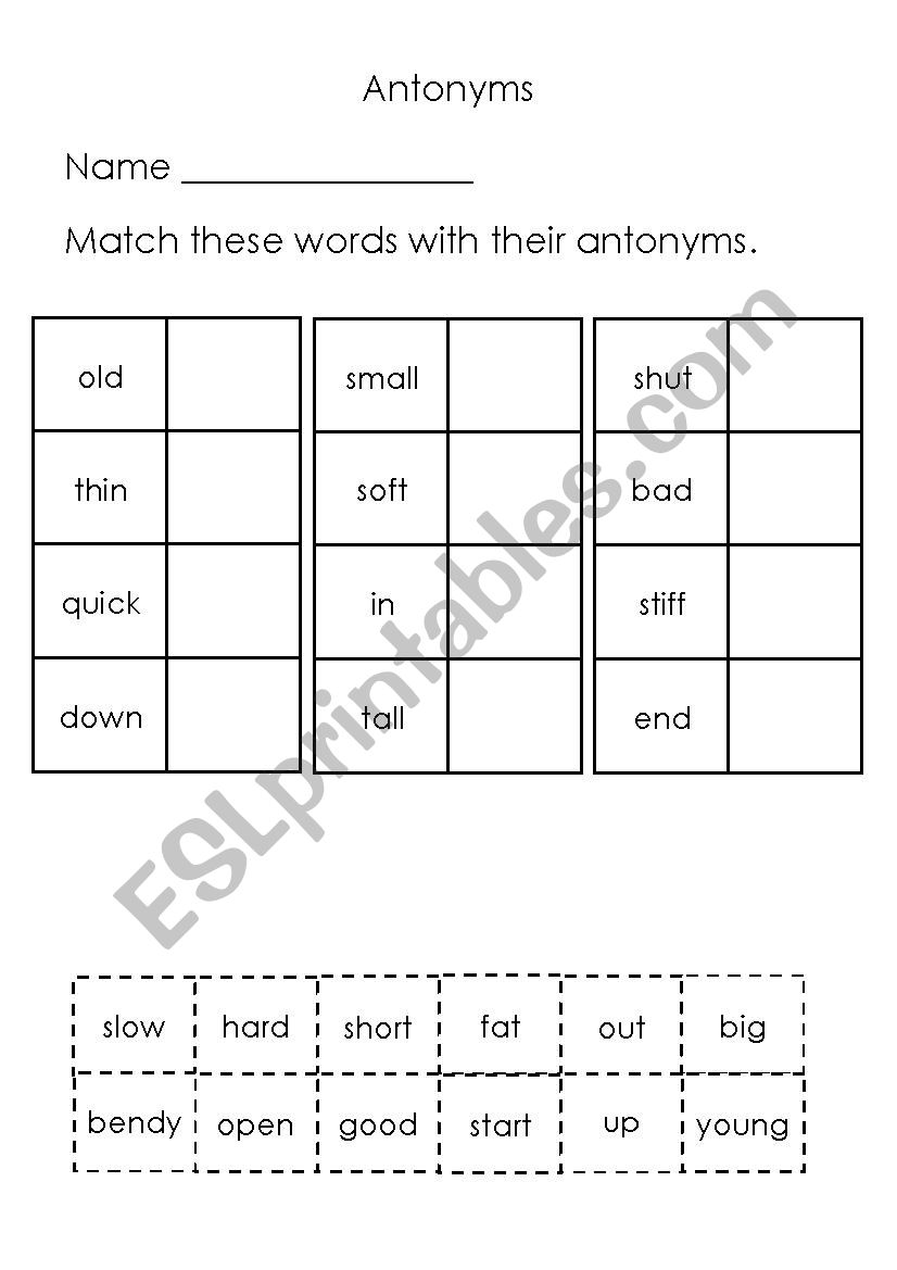 antonyms worksheet