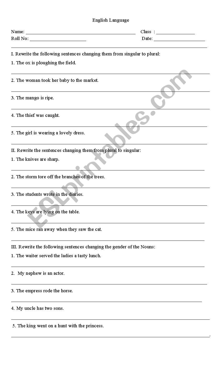 Nouns & Personal Pronouns worksheet