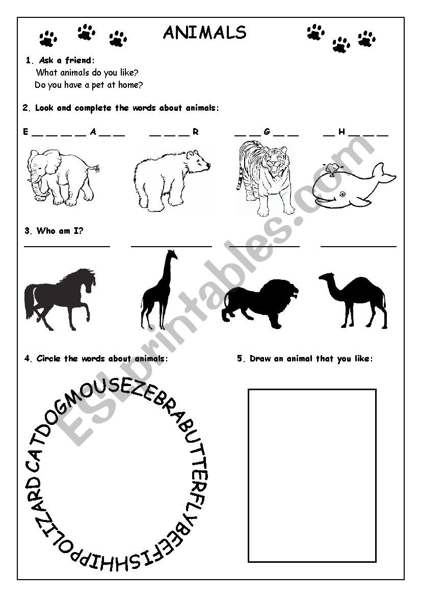 ANIMALS worksheet