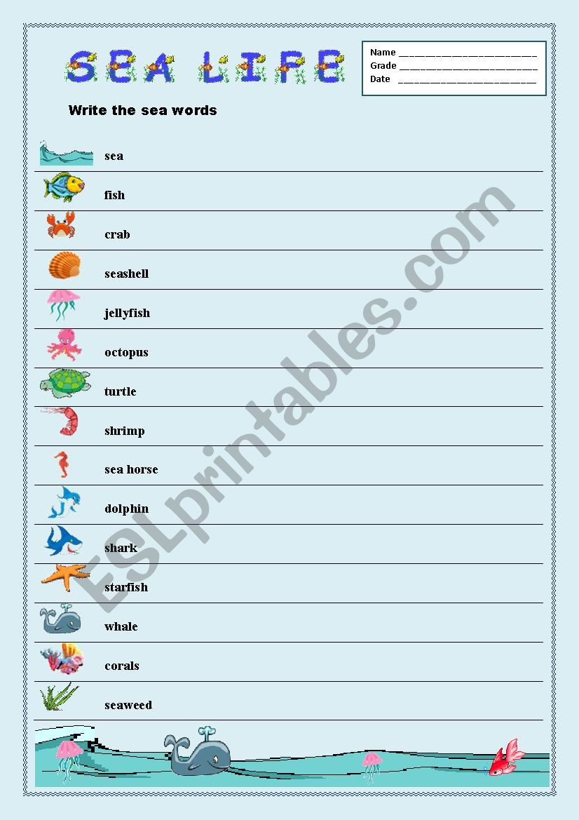 Sea Life/Spelling worksheet