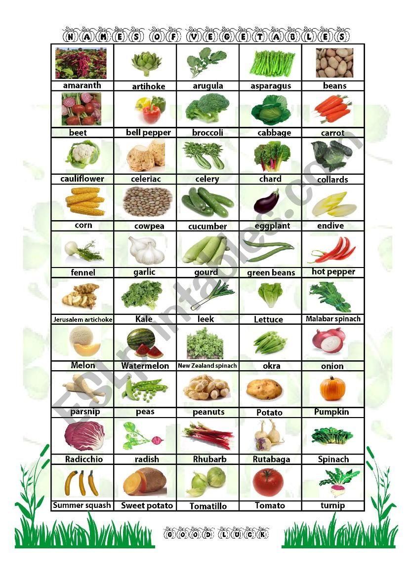 vegetables poster worksheet