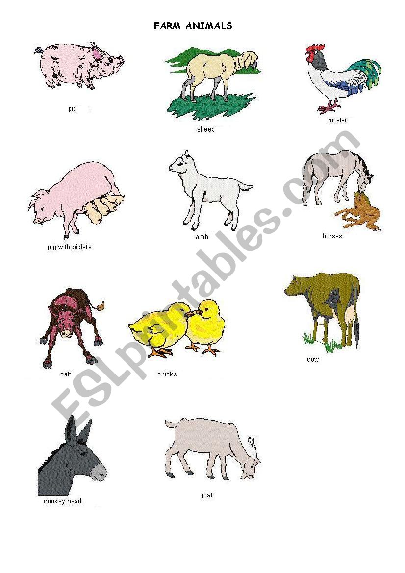 Farm Animals worksheet