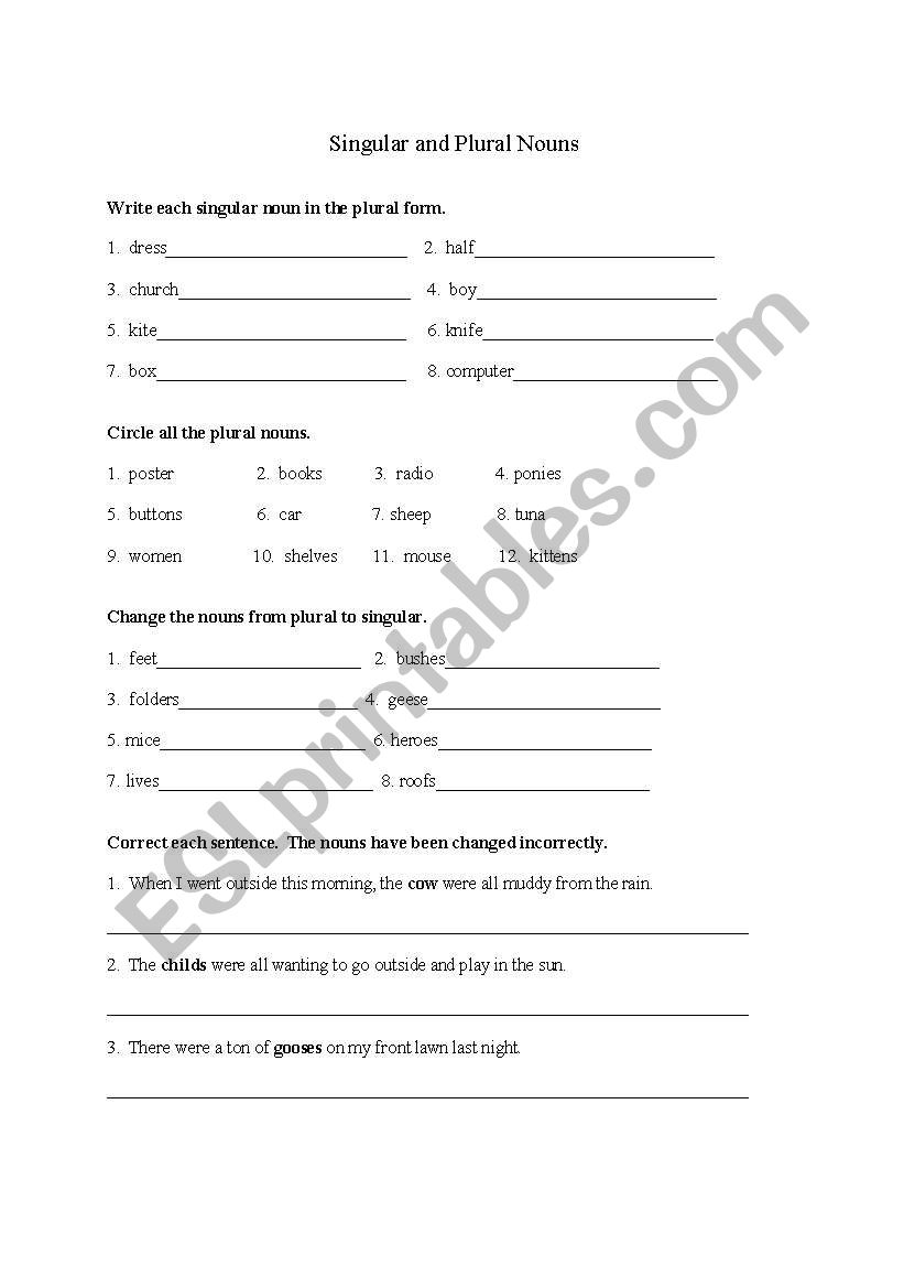 SIngulary/Plural Nouns worksheet