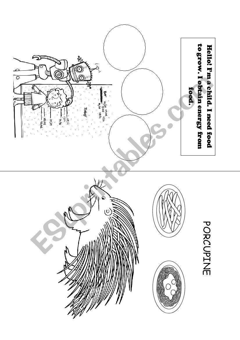 Today is Monday (activity for Eric CarlesÂ´ book)