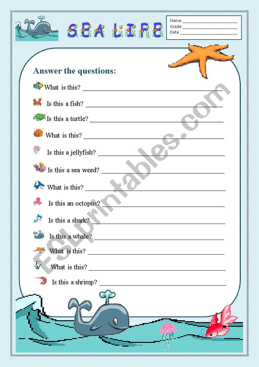 Sea Life/Questions worksheet