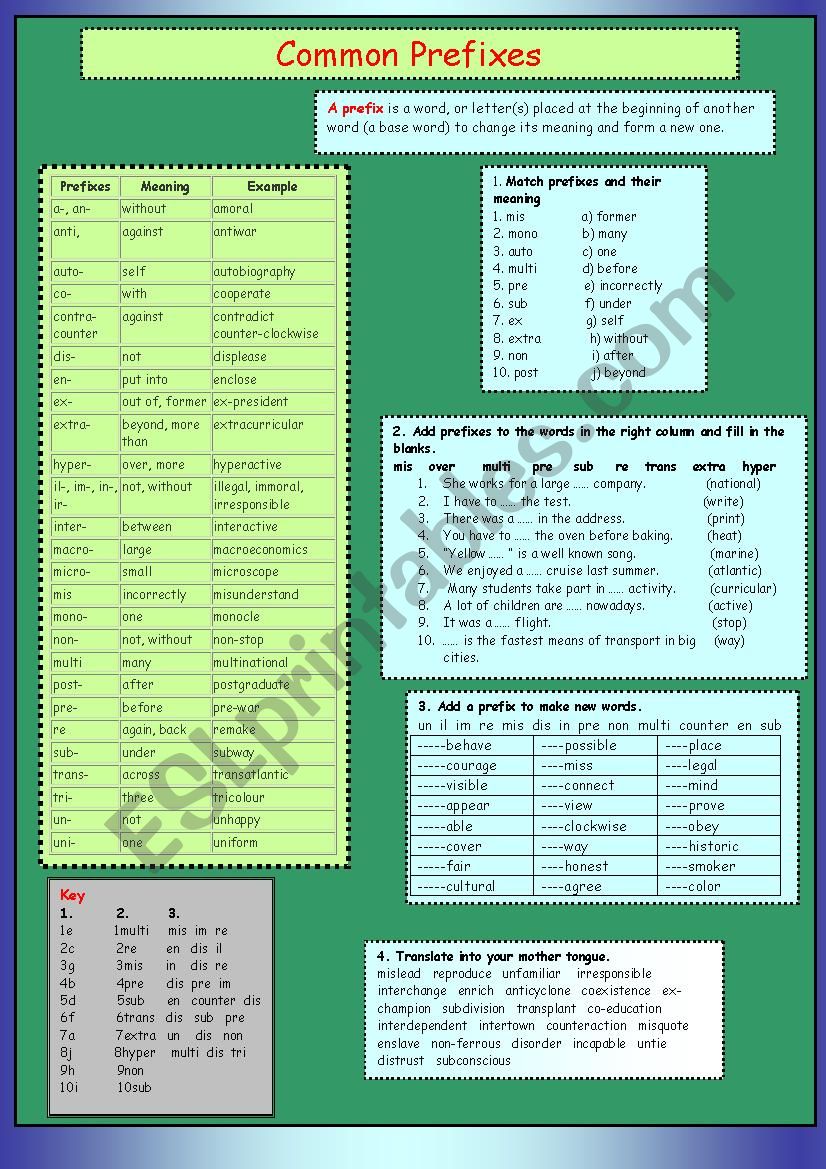 Common Prefixes worksheet