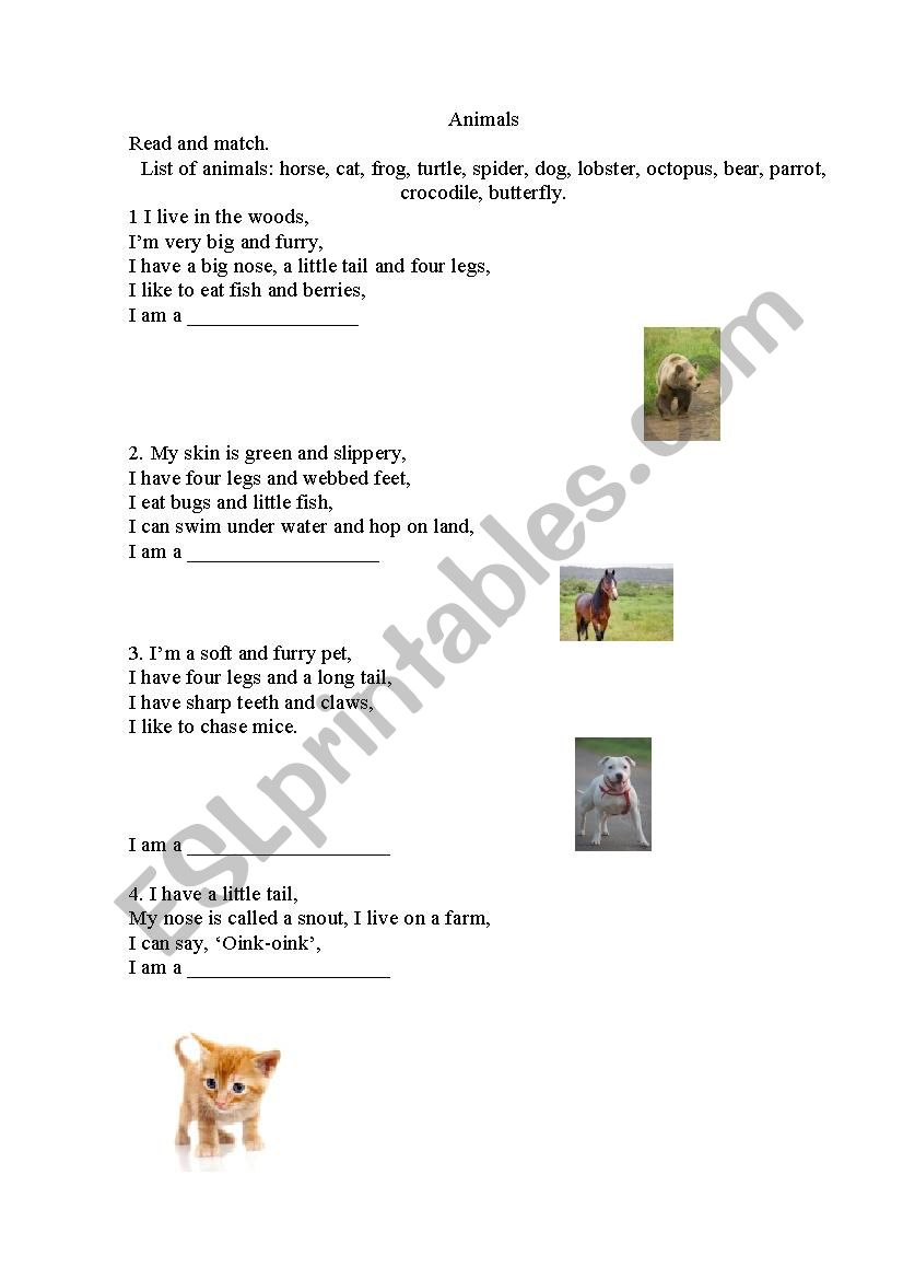 Animals  worksheet