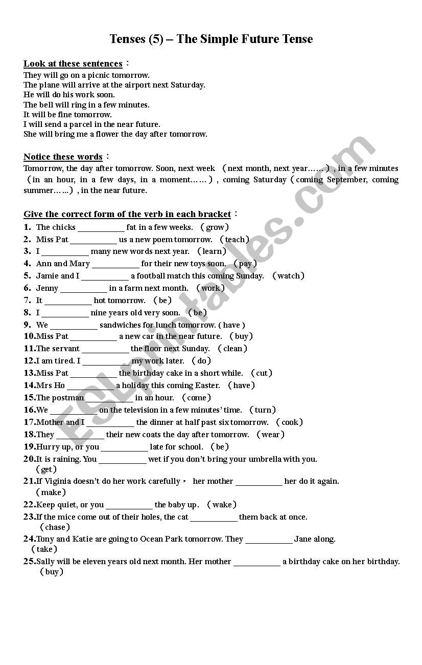 Future Tense worksheet