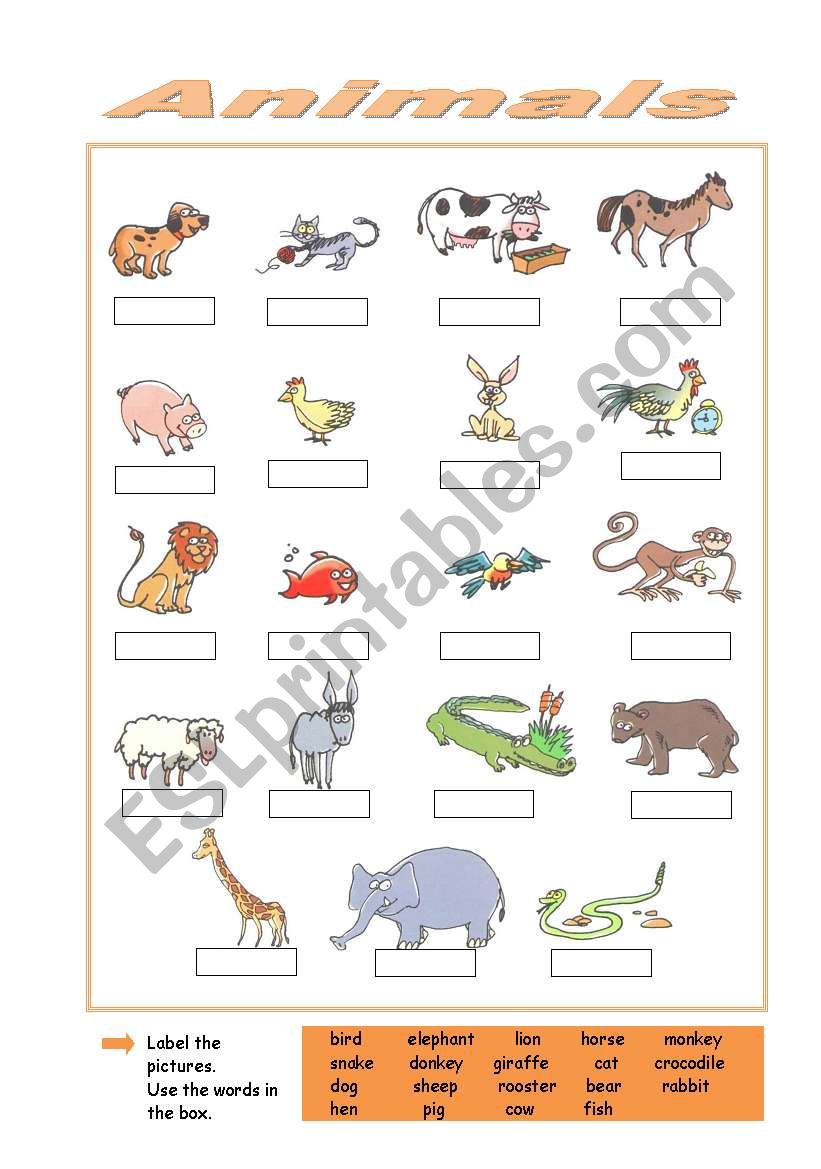 Animals worksheet