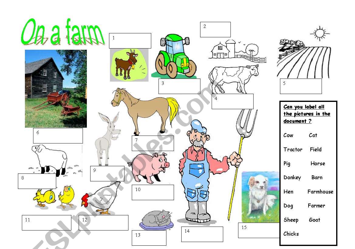 On a farm worksheet