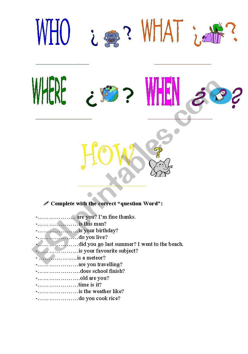 question words worksheet