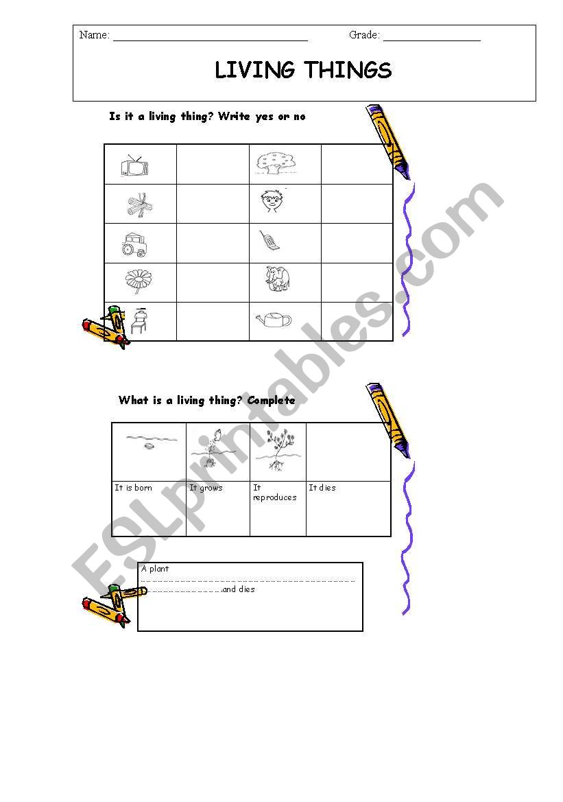 living things worksheet