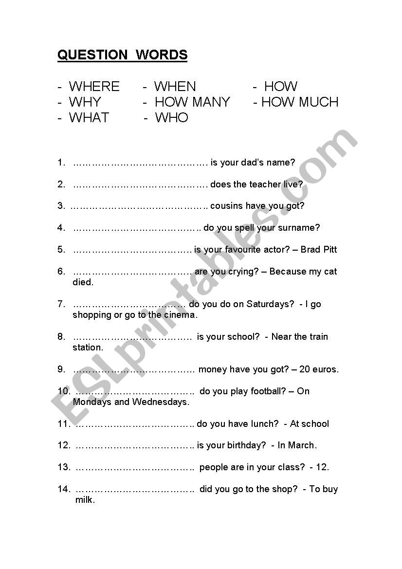 question words worksheet