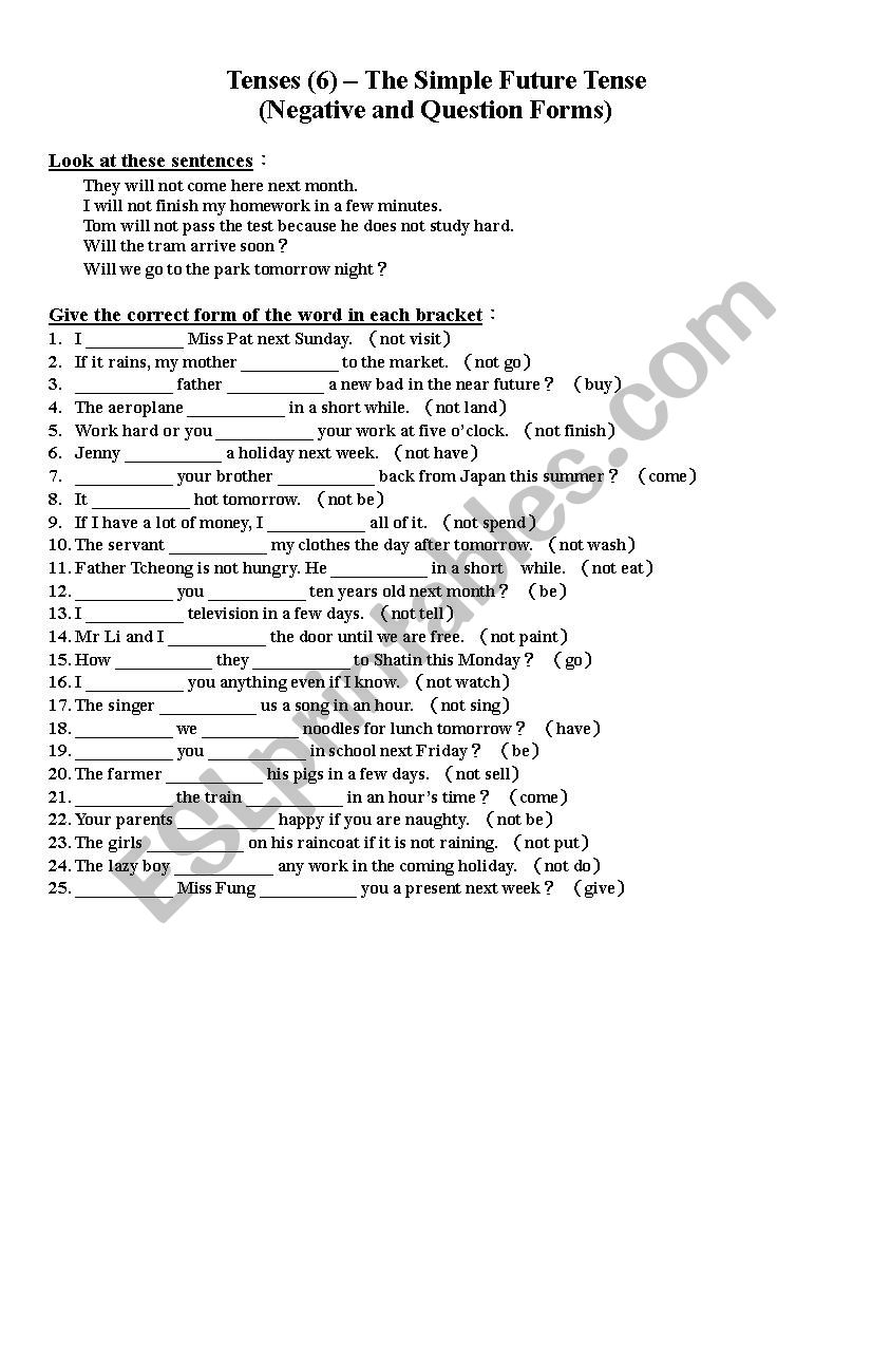 Simple Future Tense worksheet