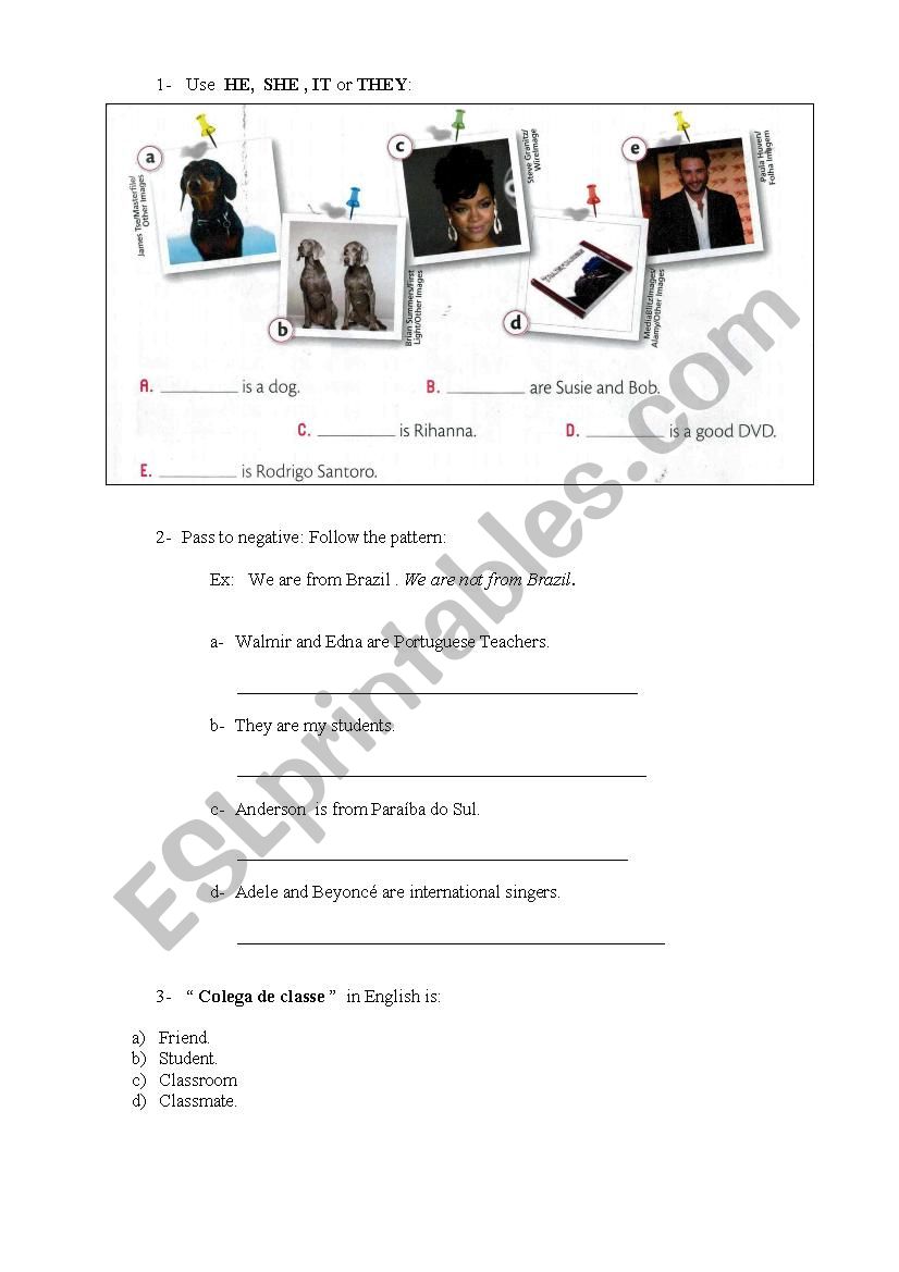 exercises worksheet