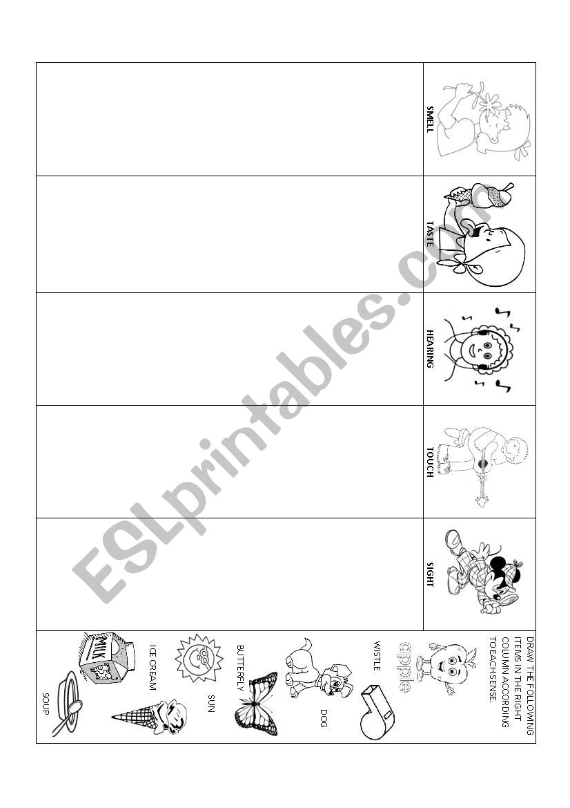 The Five Senses worksheet