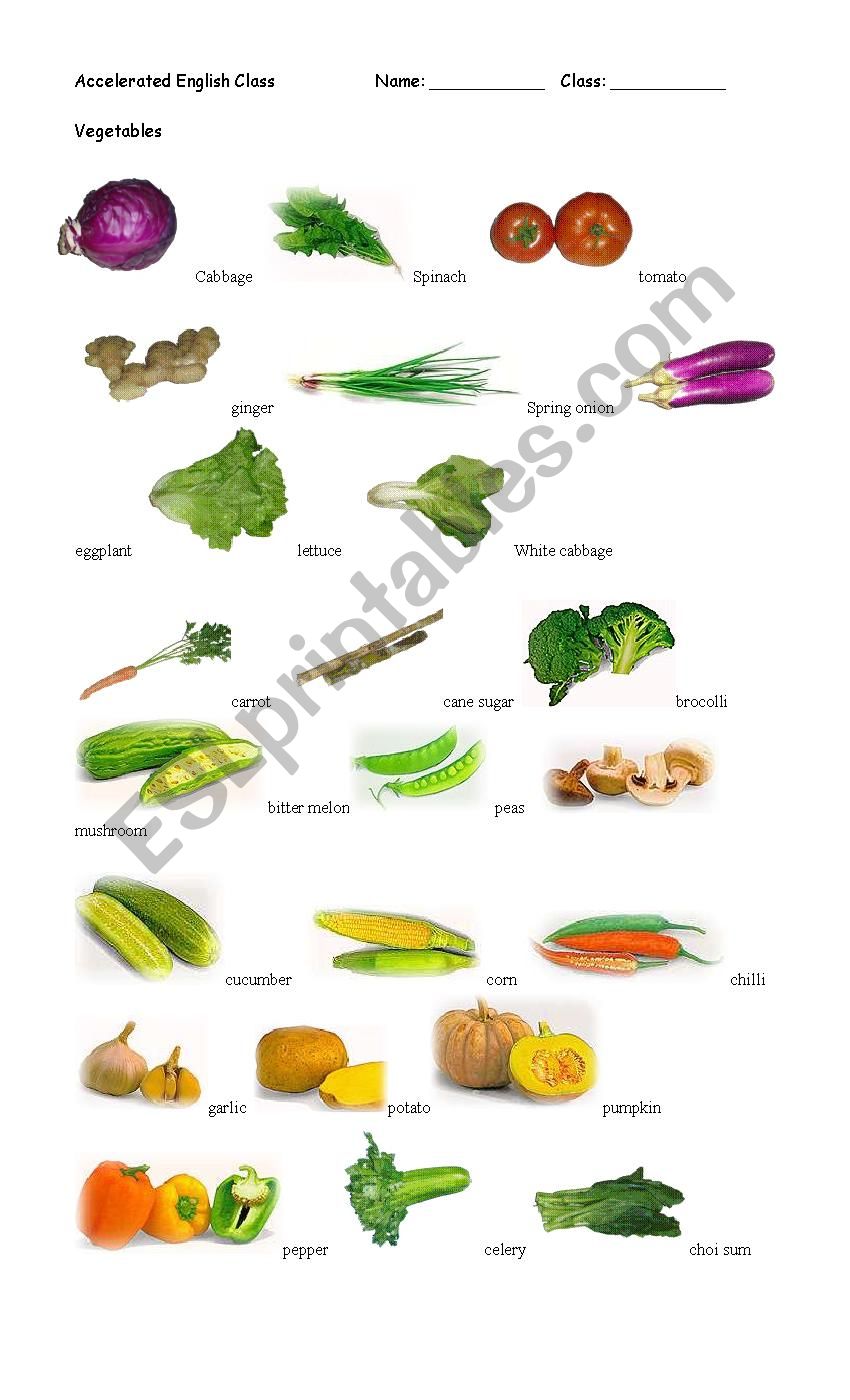 Vegetables worksheet