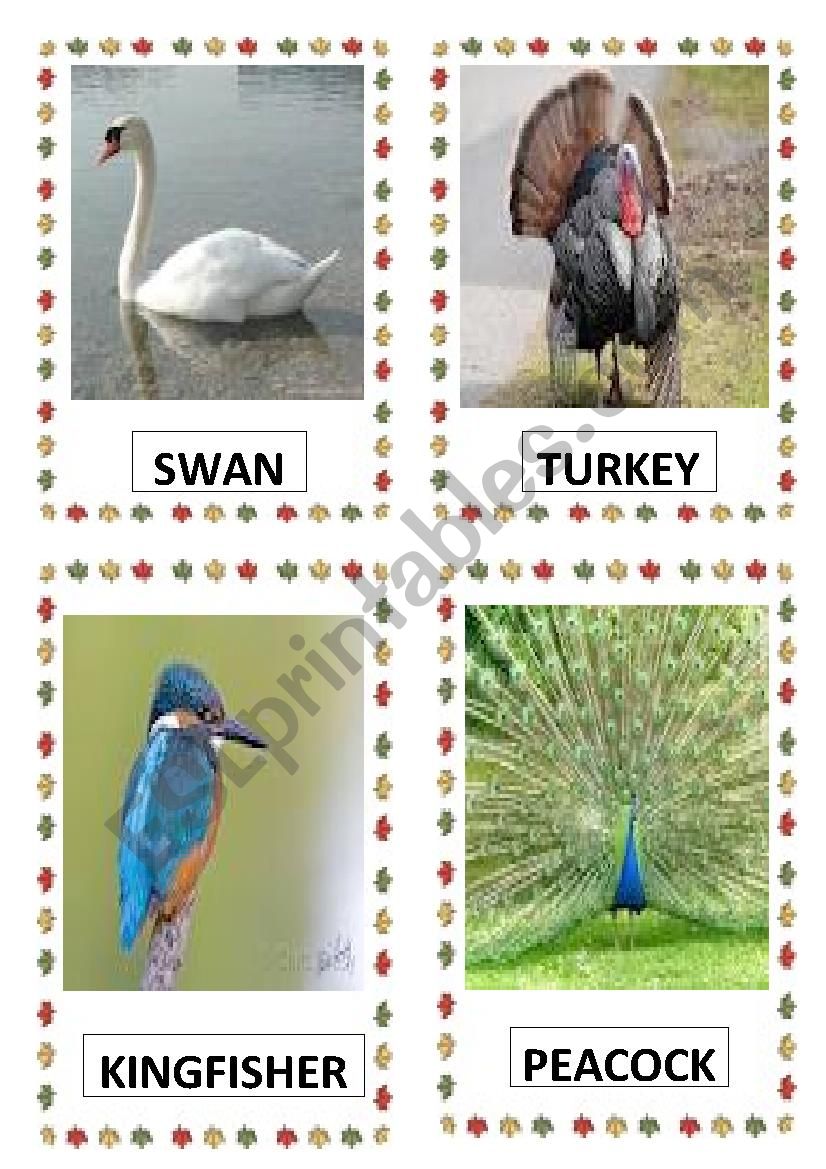 BIRDS PART-2 worksheet