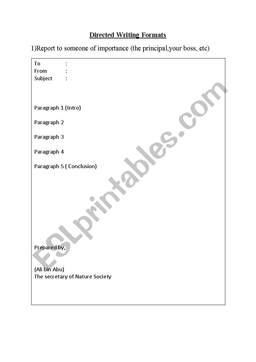 Directed Writing formats worksheet