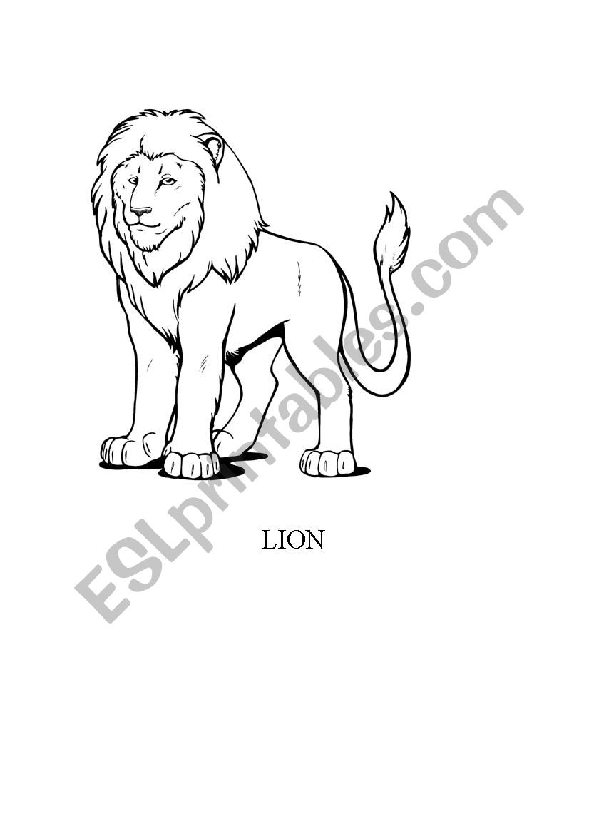 ANIMALS worksheet