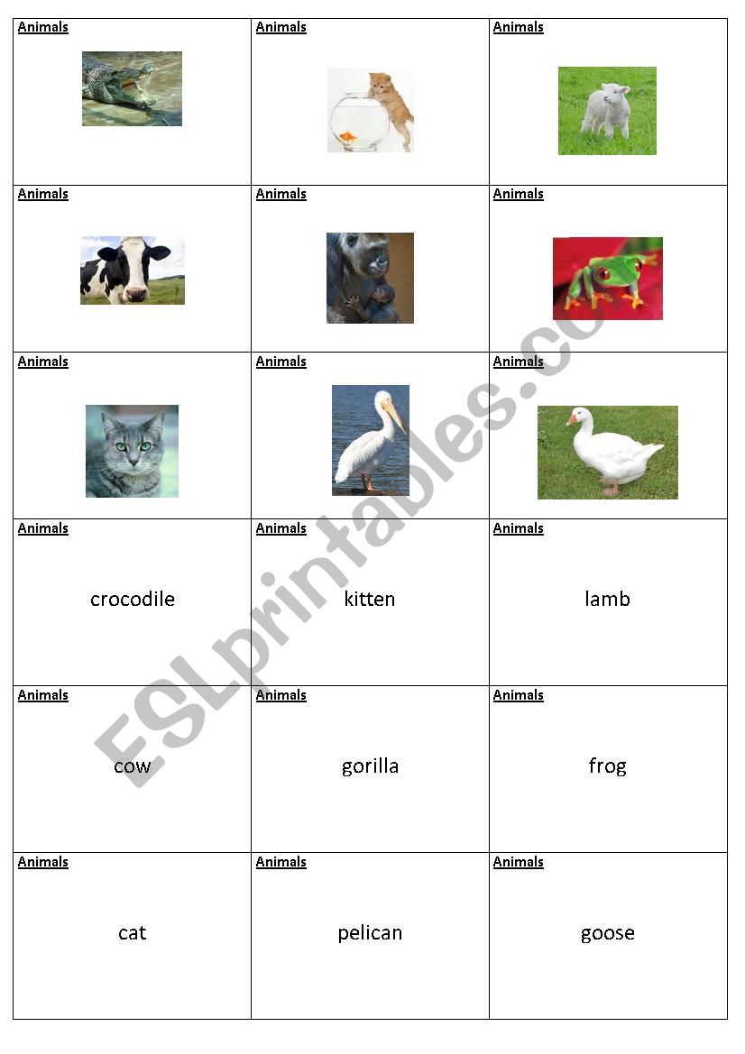 Animals - Memory worksheet