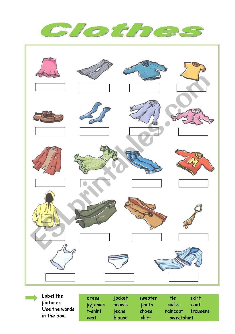 Clothes worksheet