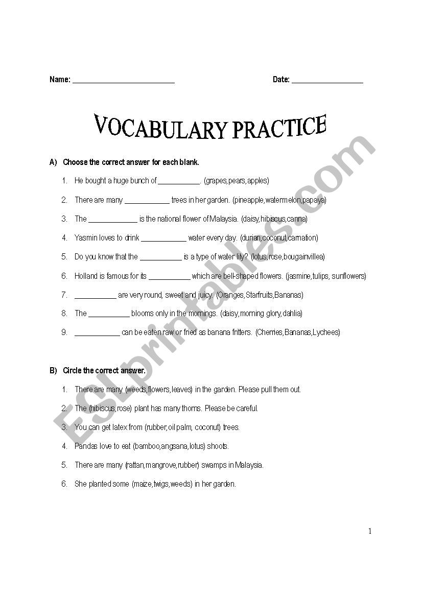 Trees and Plants worksheet