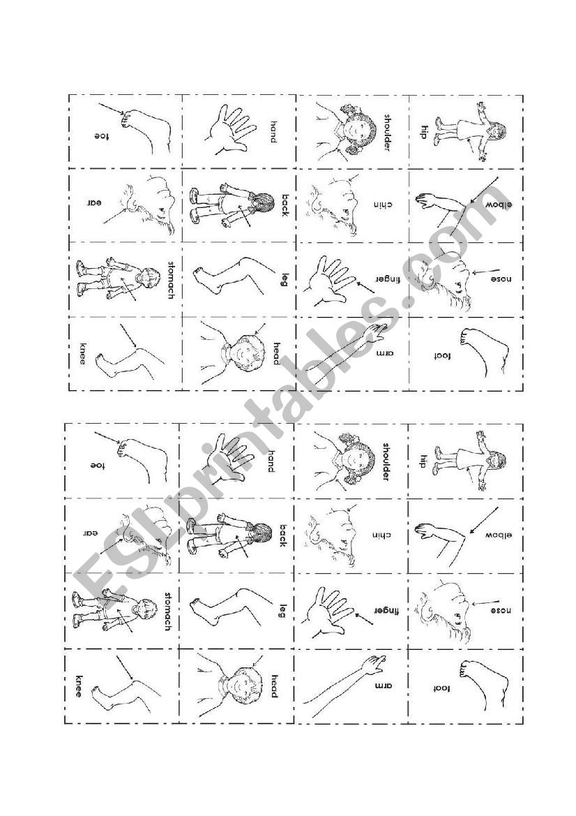 parts of the body cards worksheet