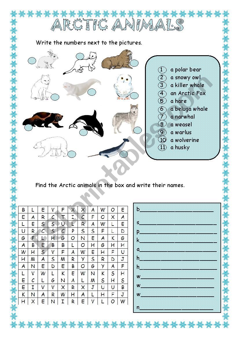 Arctic Animals worksheet