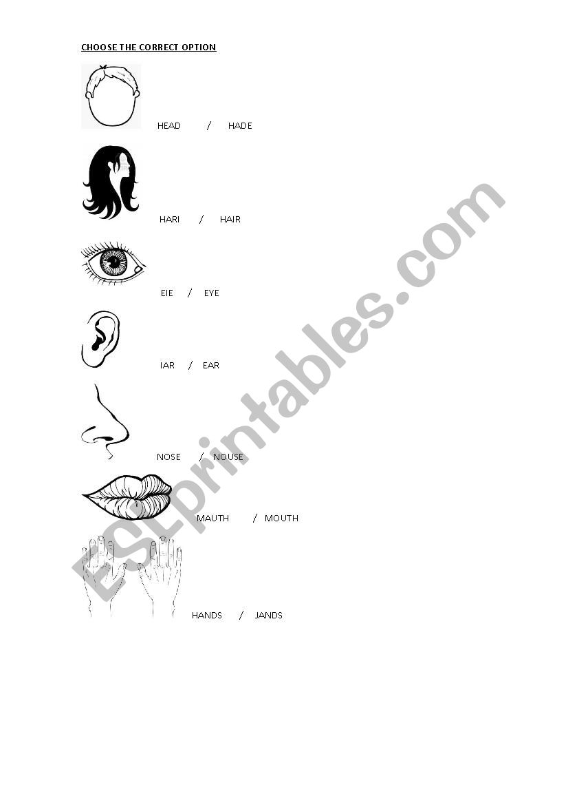 PARTS OF THE BODY worksheet