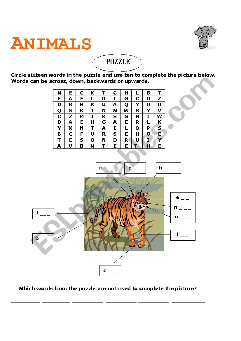 Animals worksheet