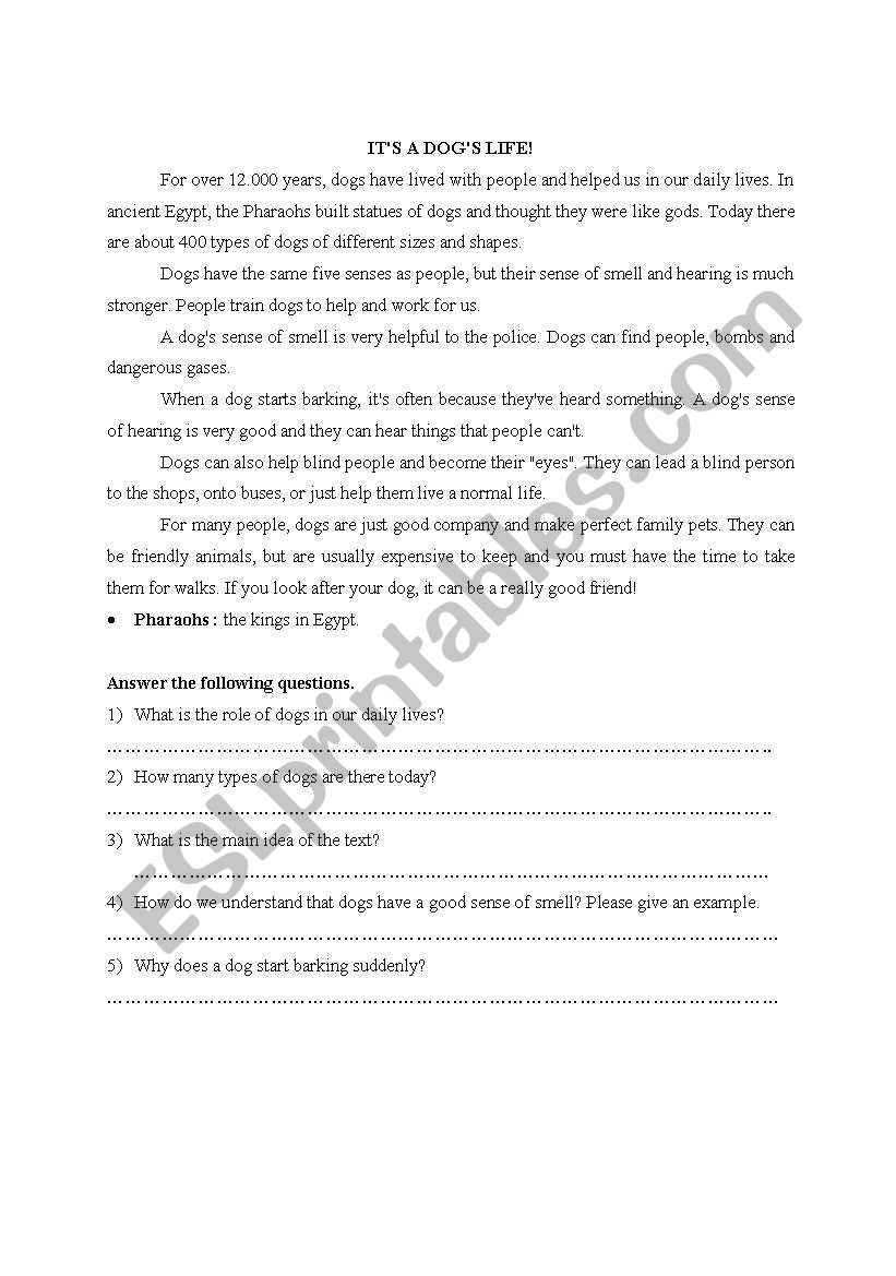 reading passage worksheet