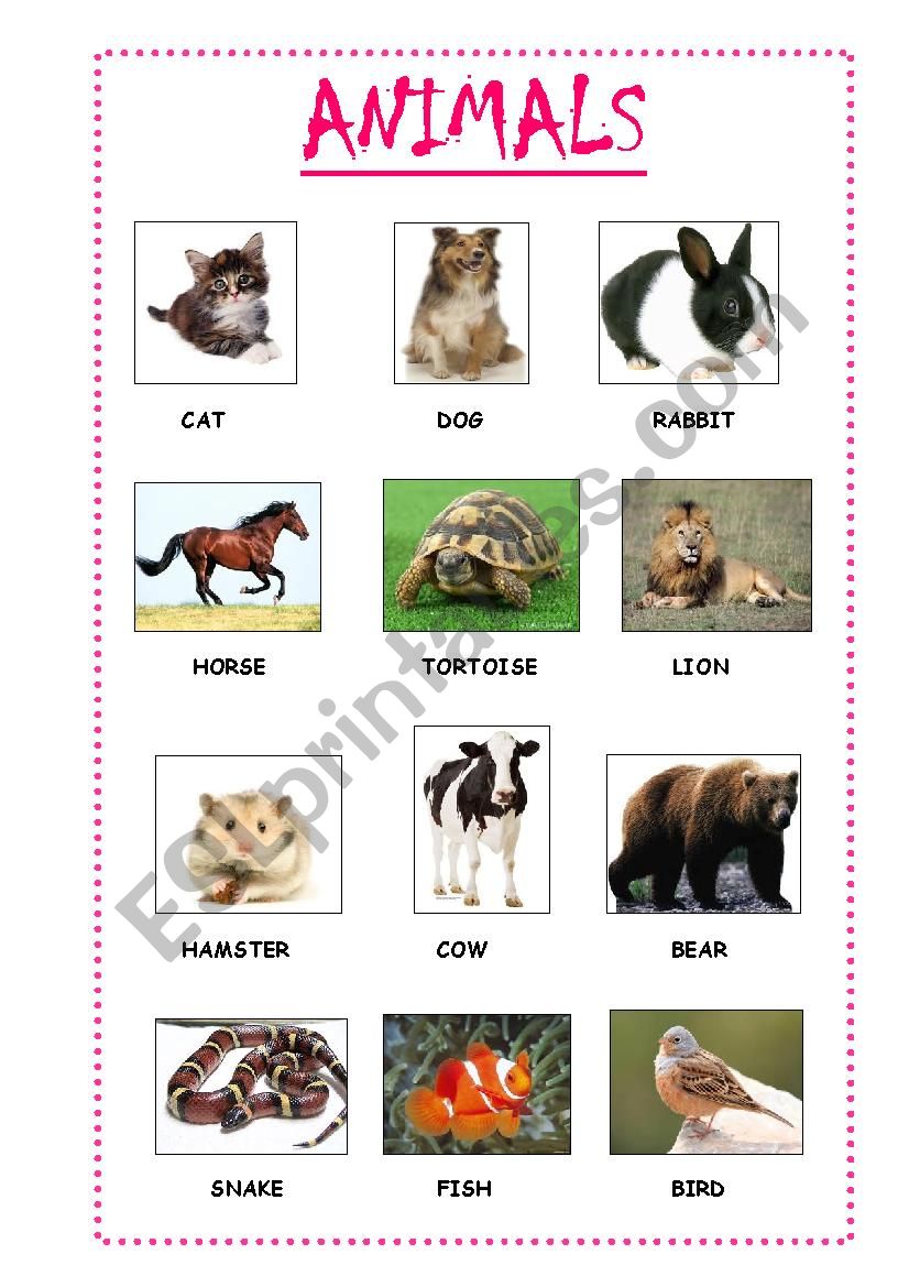 ANIMALS - ESL worksheet by minonceja