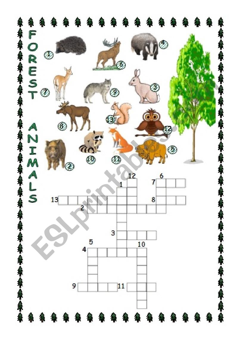 Forest Animals worksheet