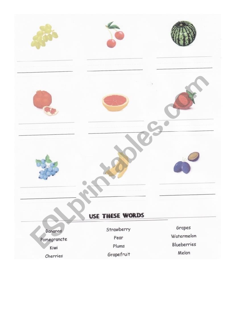 Fruits words title activity worksheet