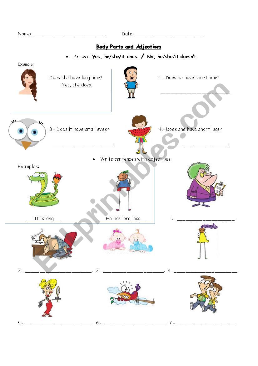 Body Parts and adjectives worksheet