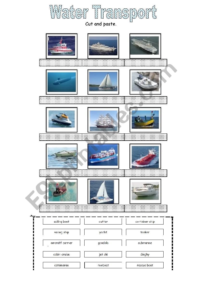 Water Transport worksheet