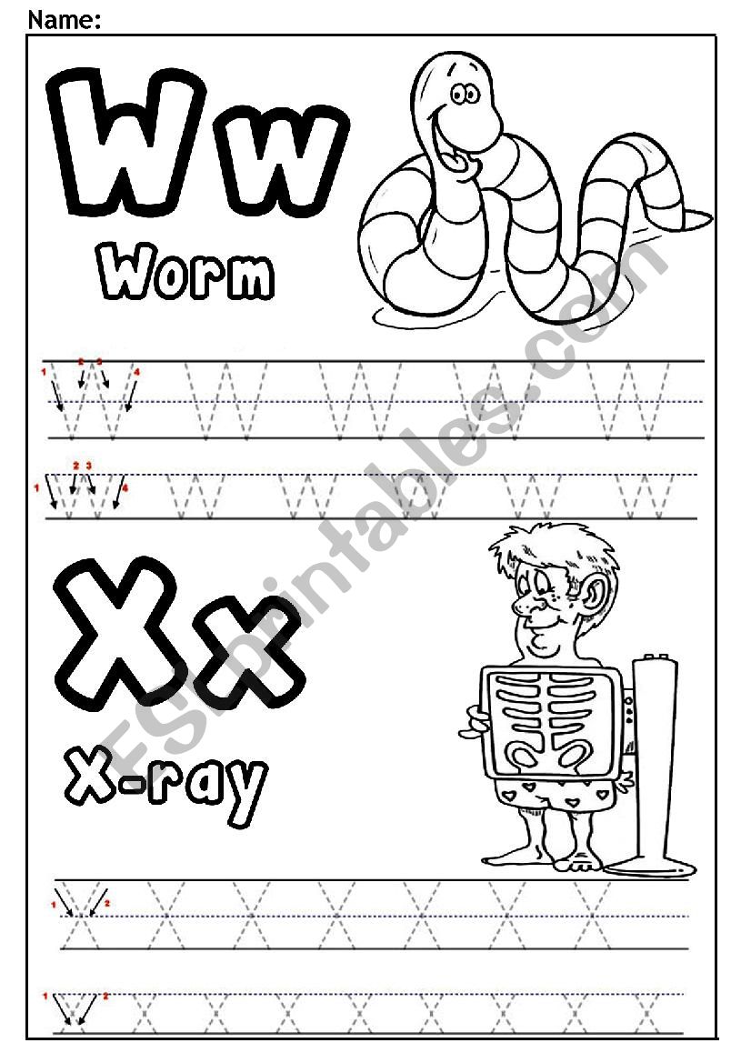 W and X worksheet
