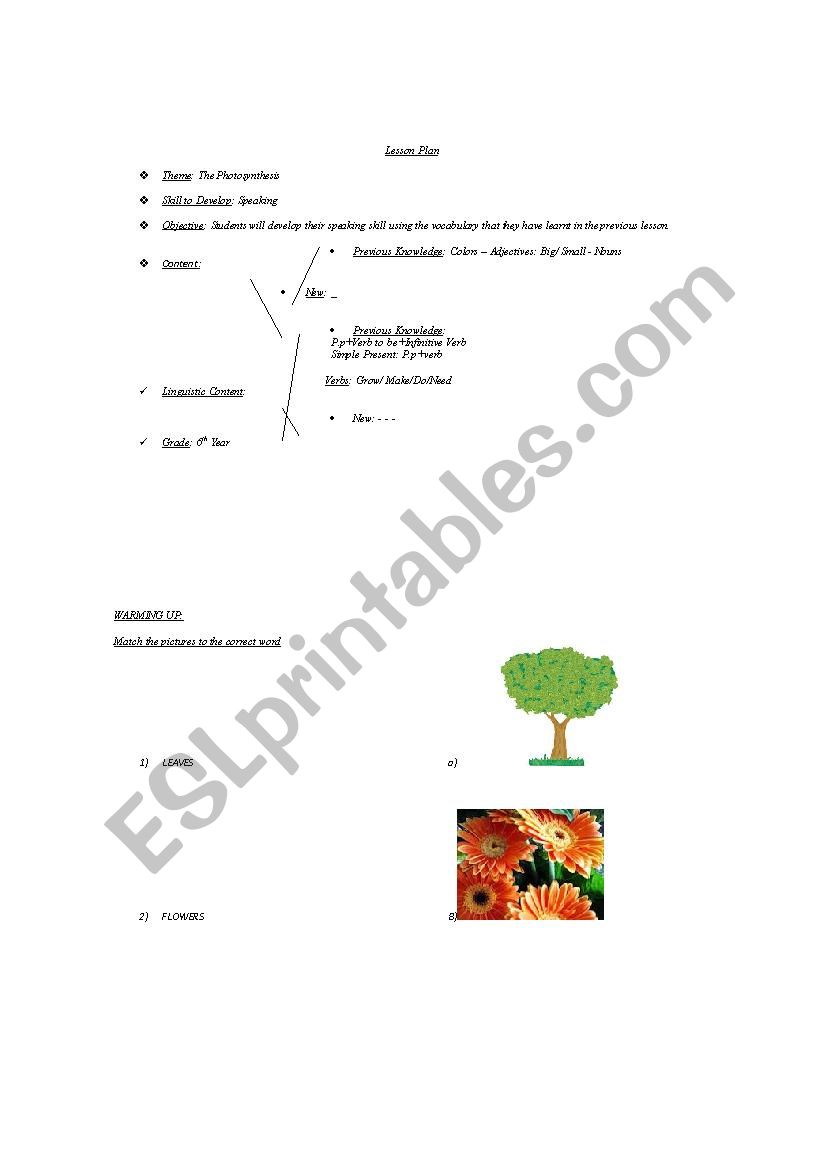 Speaking Lesson . Theme; The photosynthesis