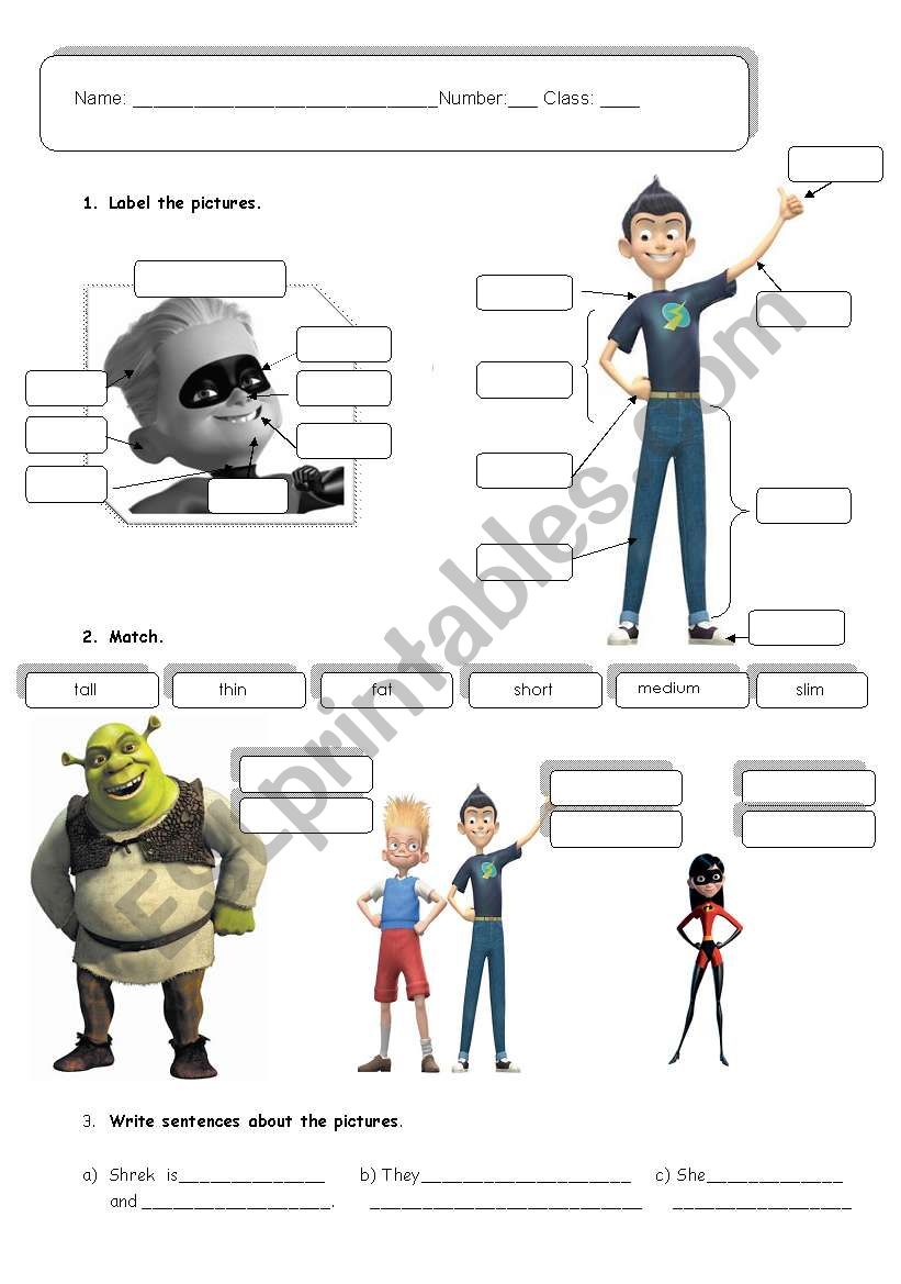 Physical description worksheet