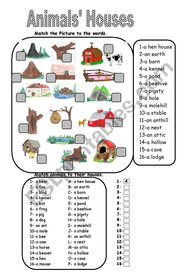Animals Houses worksheet