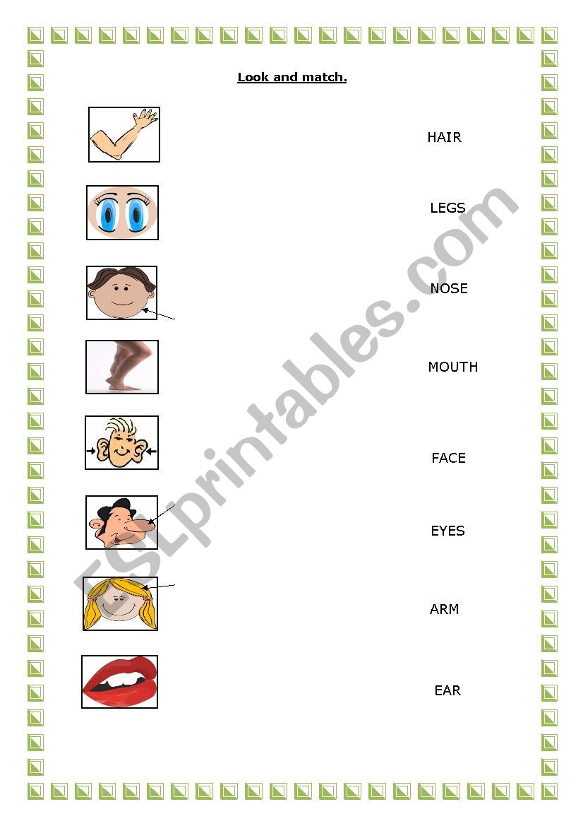 Parts of the face and body worksheet