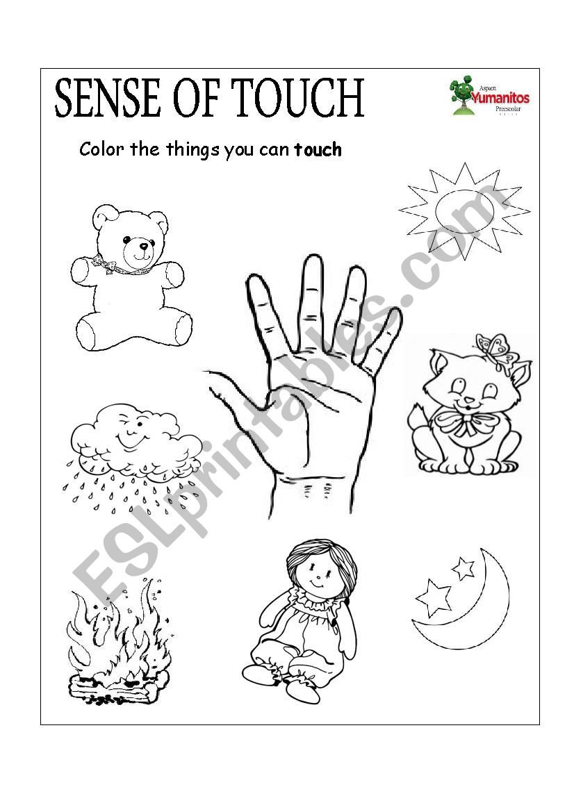 Sense of Touch and Smell - ESL worksheet by Yina