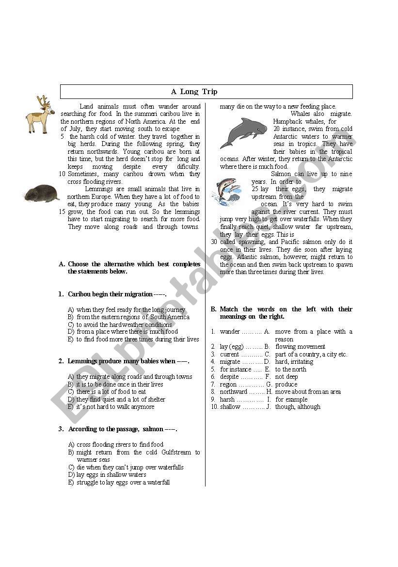 A  Long  Trip about animals worksheet