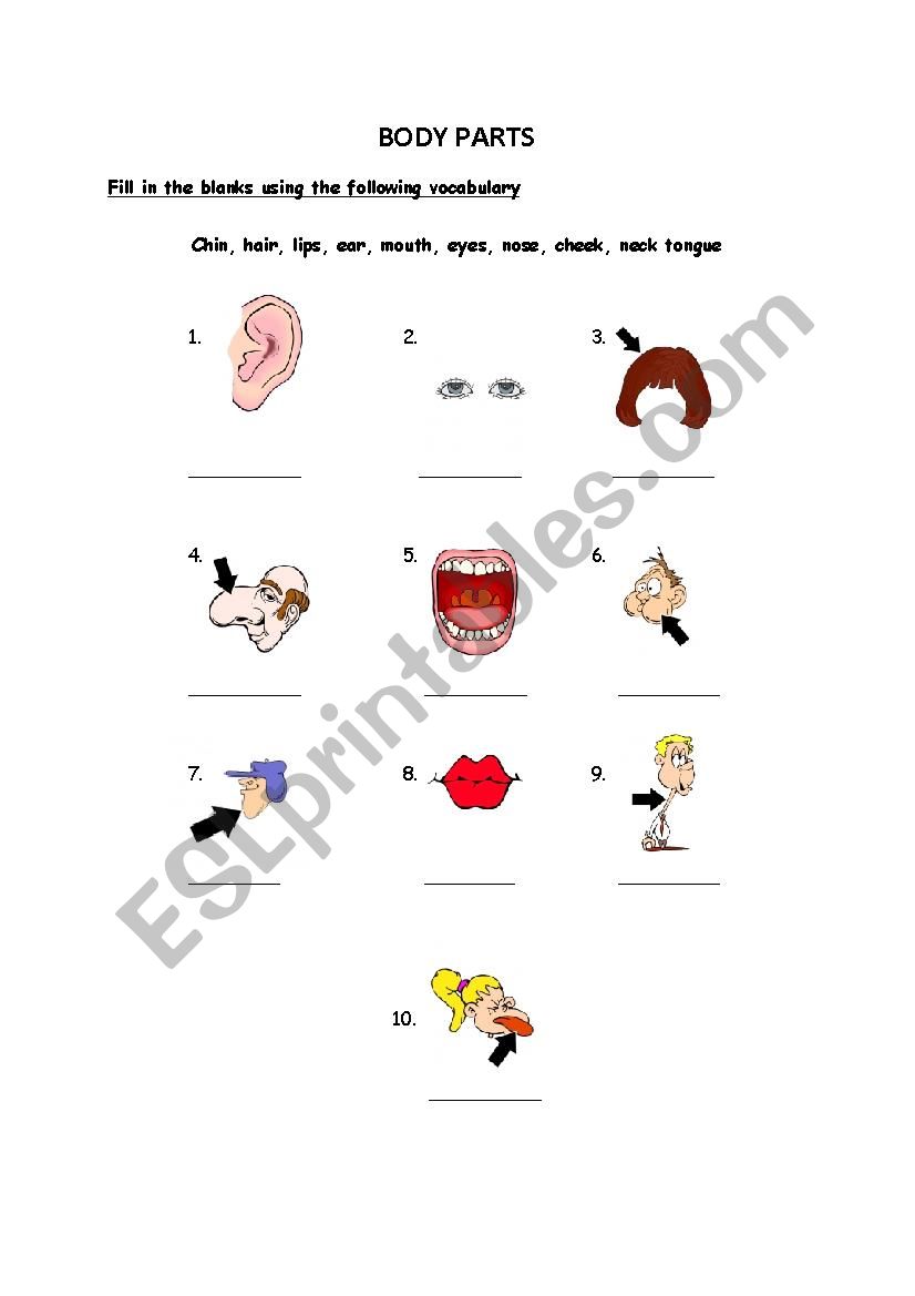 Body parts worksheet