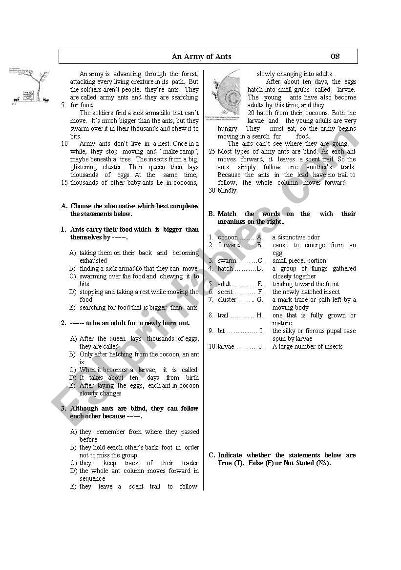 An Army of Ants worksheet