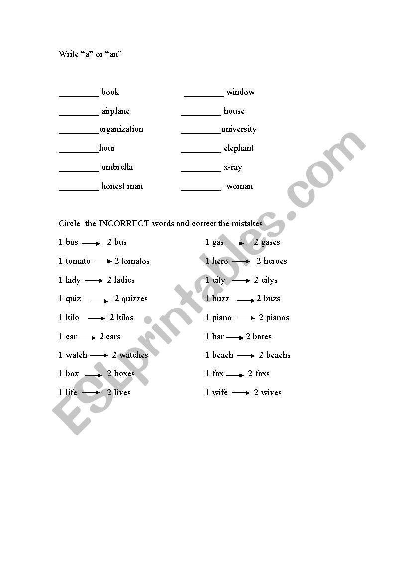 indefinite articles + plural worksheet